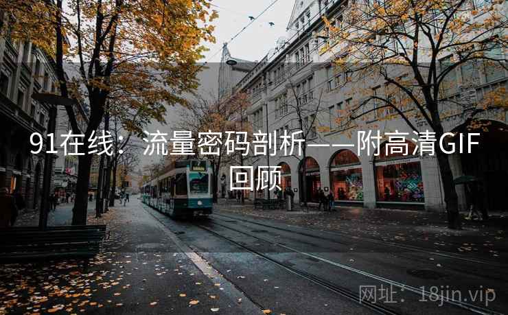 91在线：流量密码剖析——附高清GIF回顾