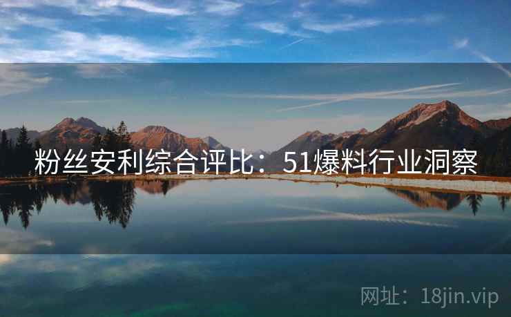 粉丝安利综合评比：51爆料行业洞察