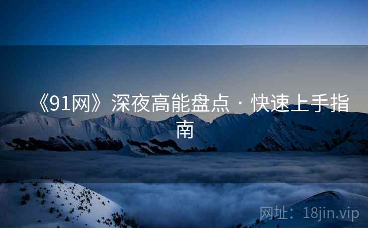 《91网》深夜高能盘点 · 快速上手指南